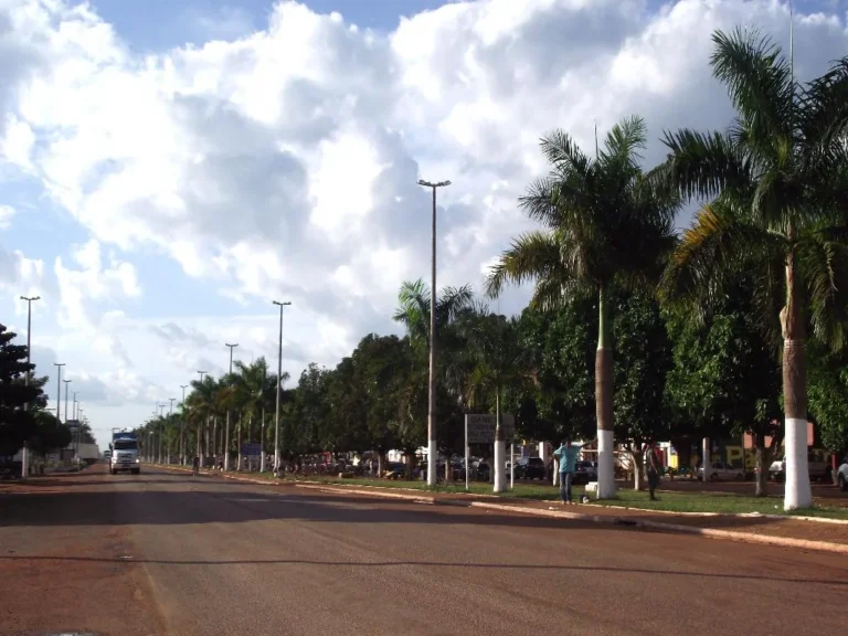 Avenida larga com palmeiras e um caminhão ao fundo em Dom Eliseu, no Pará
